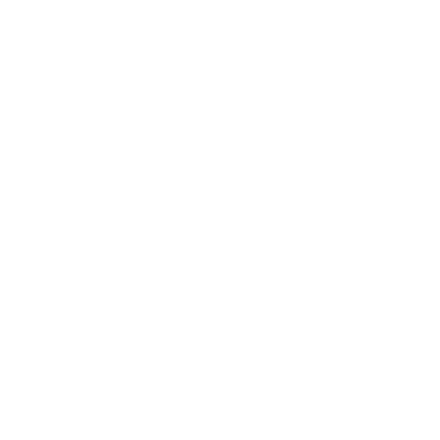 RePlasTerial